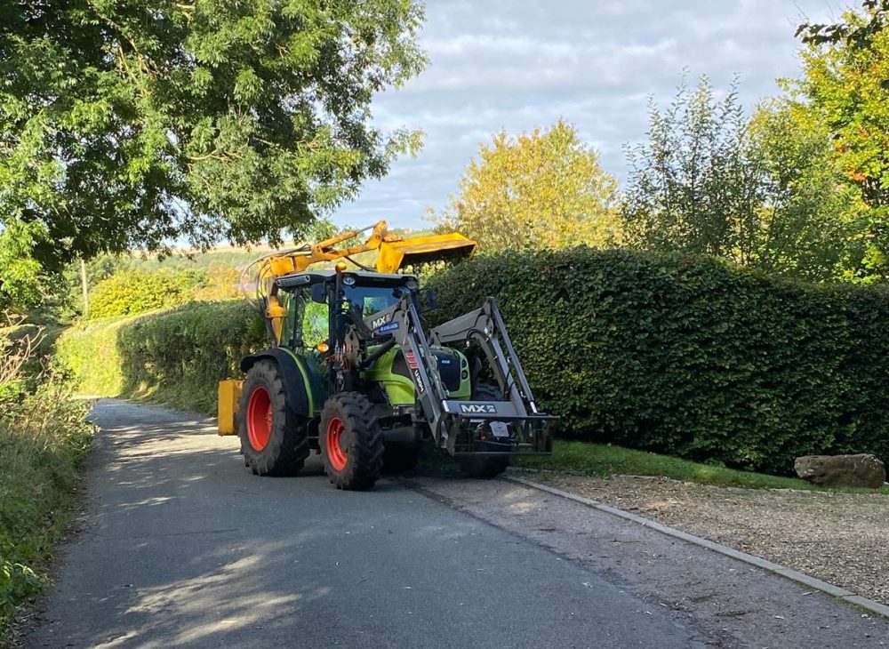dwoliver-tree-surgeon-work15